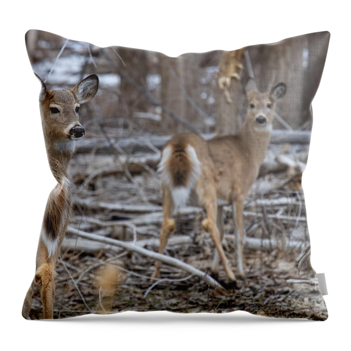 White Tail Fawn Throw Pillow featuring the photograph Sheltering Mom by Jim Garrison