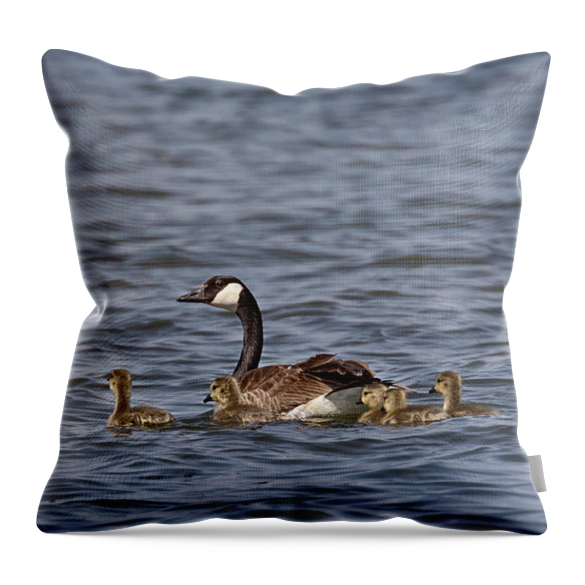 Canadian Geese Throw Pillow featuring the photograph Mother Goose by Susan Rissi Tregoning