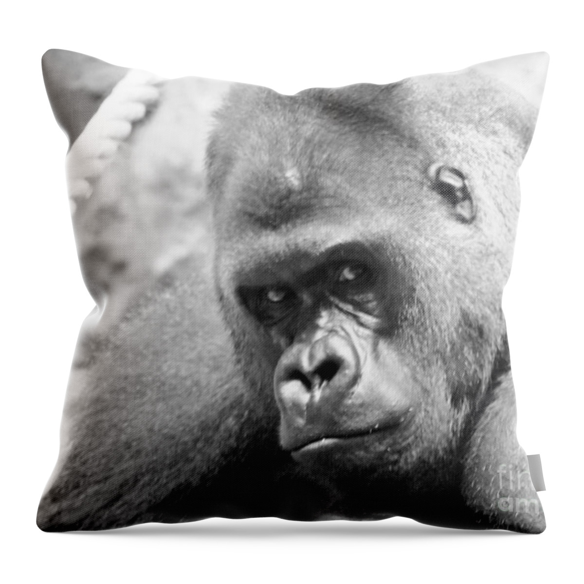 Gorilla Throw Pillow featuring the photograph Mother Gorilla in thought by Jennifer Craft