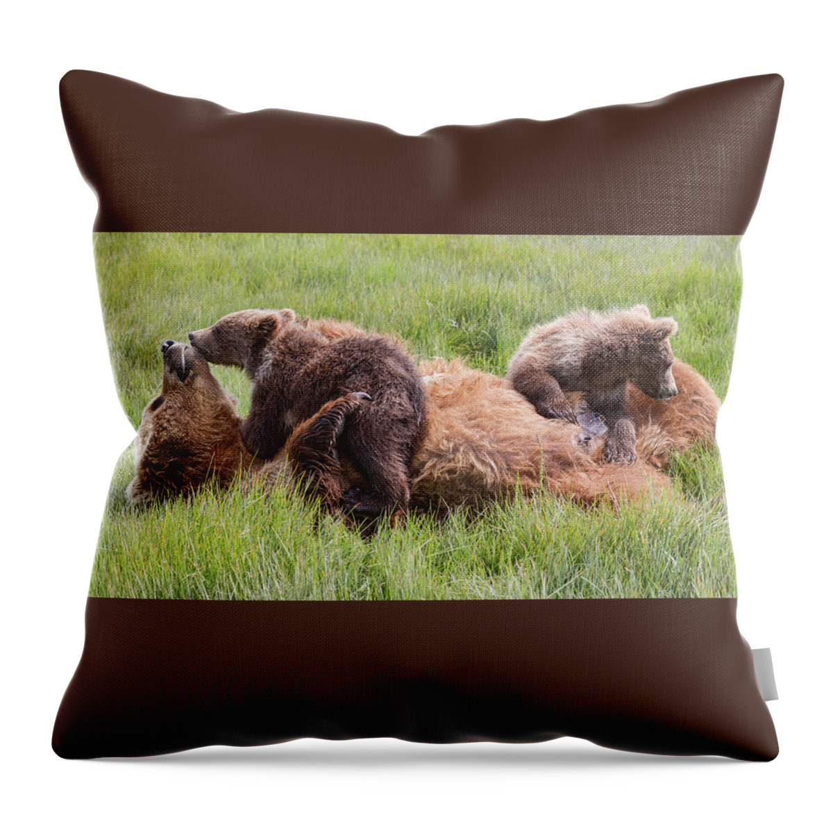 Grizzly Bears Throw Pillow featuring the photograph Mother Grizzly Suckling Twin Cubs by Mark Harrington