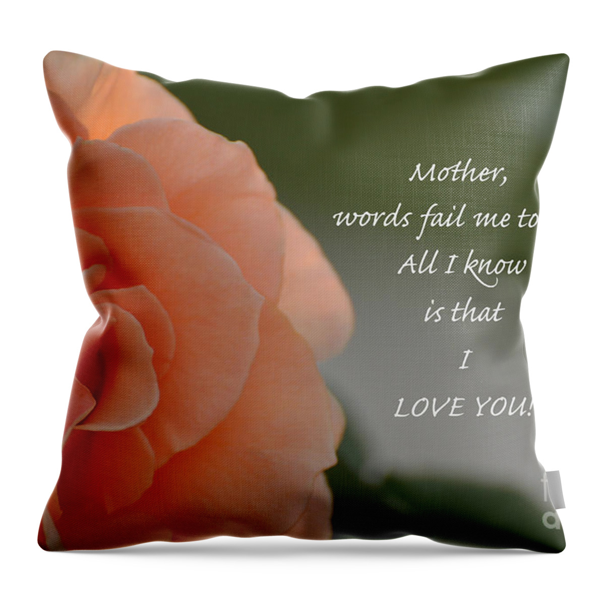 Rose Throw Pillow featuring the photograph Mother I Love You by Debby Pueschel