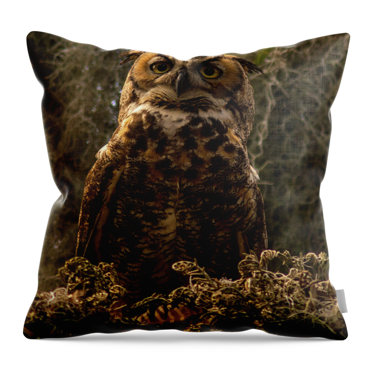 Owl Throw Pillow featuring the photograph Mother Owl Posing by Jane Axman