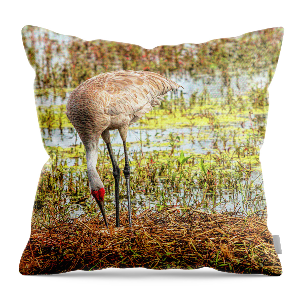 Eggs Nest Throw Pillow featuring the photograph Mother rearranging her eggs in the nest by Dorothy Cunningham
