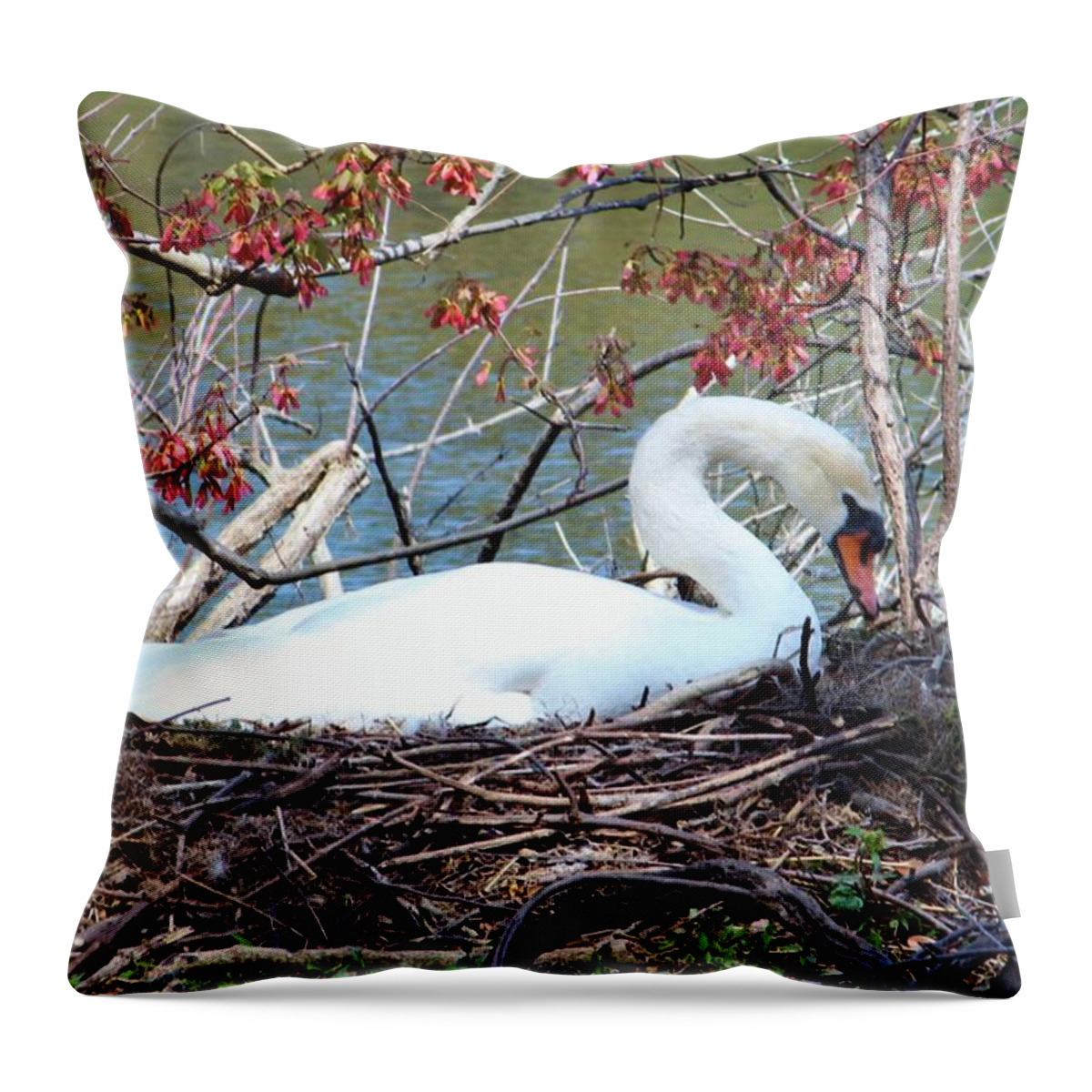 Swan Throw Pillow featuring the photograph Mother Swan by Cynthia Guinn