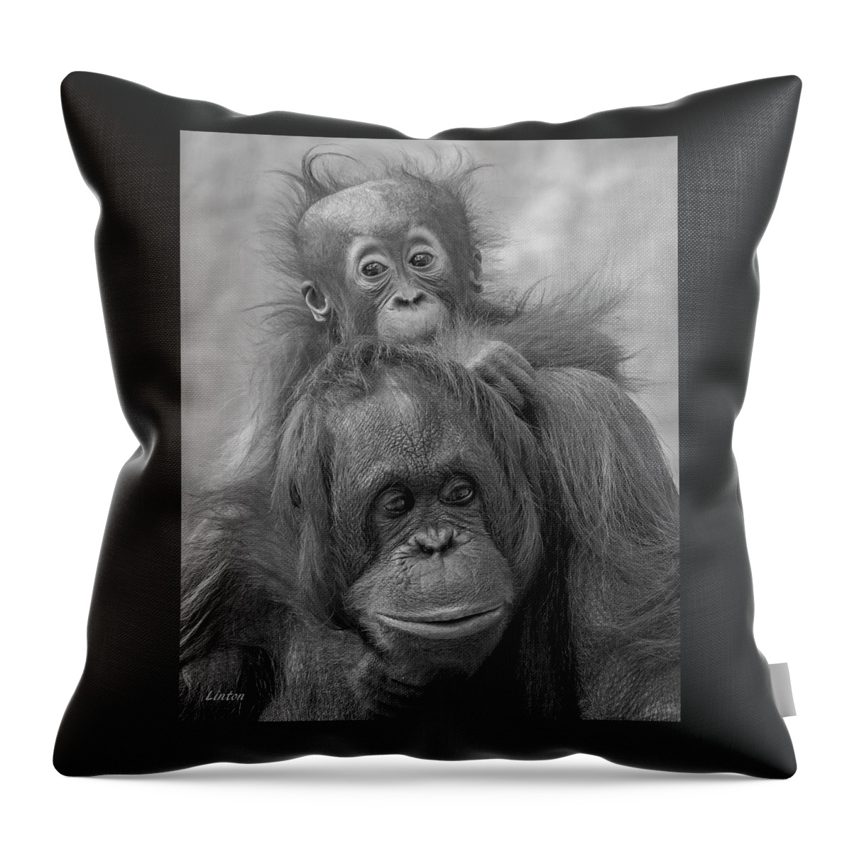 Orangutan Throw Pillow featuring the photograph Motherhood 14 by Larry Linton