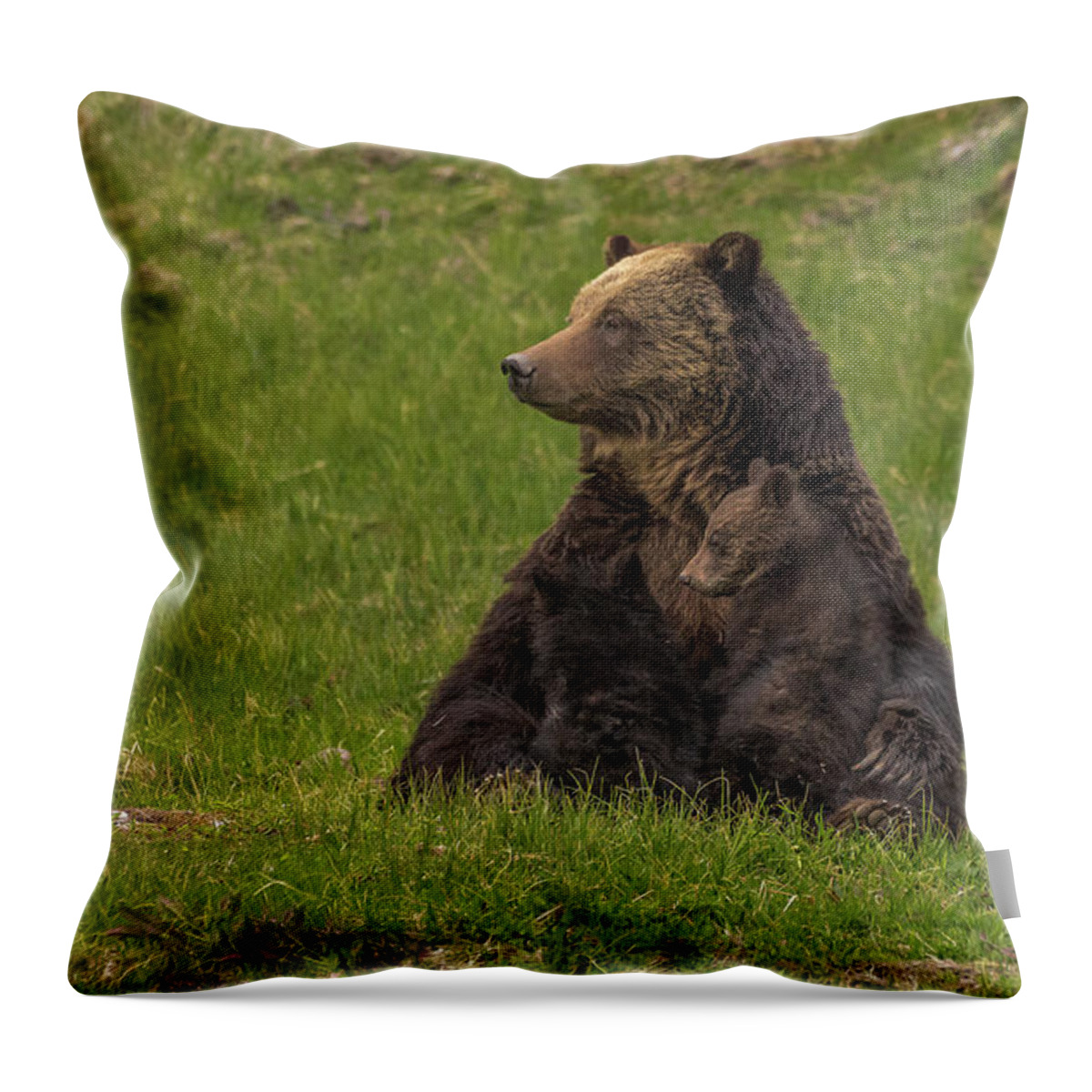 Mother's Day Throw Pillow featuring the photograph Mother's Day In May by Yeates Photography