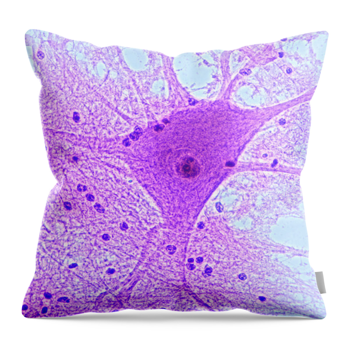 Histology Throw Pillow featuring the photograph Motor Neuron From Spinal Cord by M I Walker