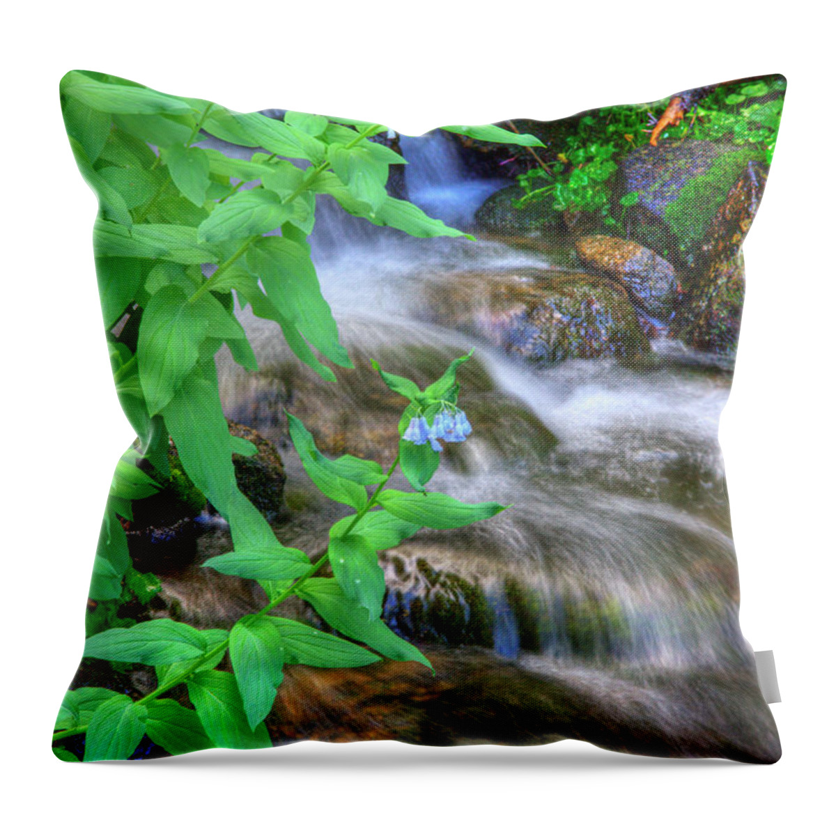 Mountain Bluebell Throw Pillow featuring the photograph Mounain Bluebells by Douglas Pulsipher