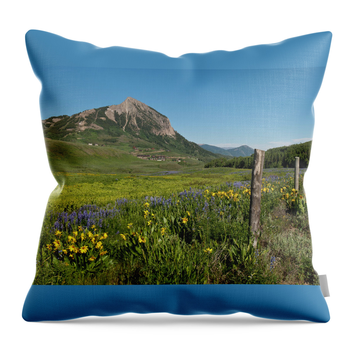 Mount Crested Butte Throw Pillow featuring the photograph Mount Crested Butte Early Evening Summer by Cascade Colors