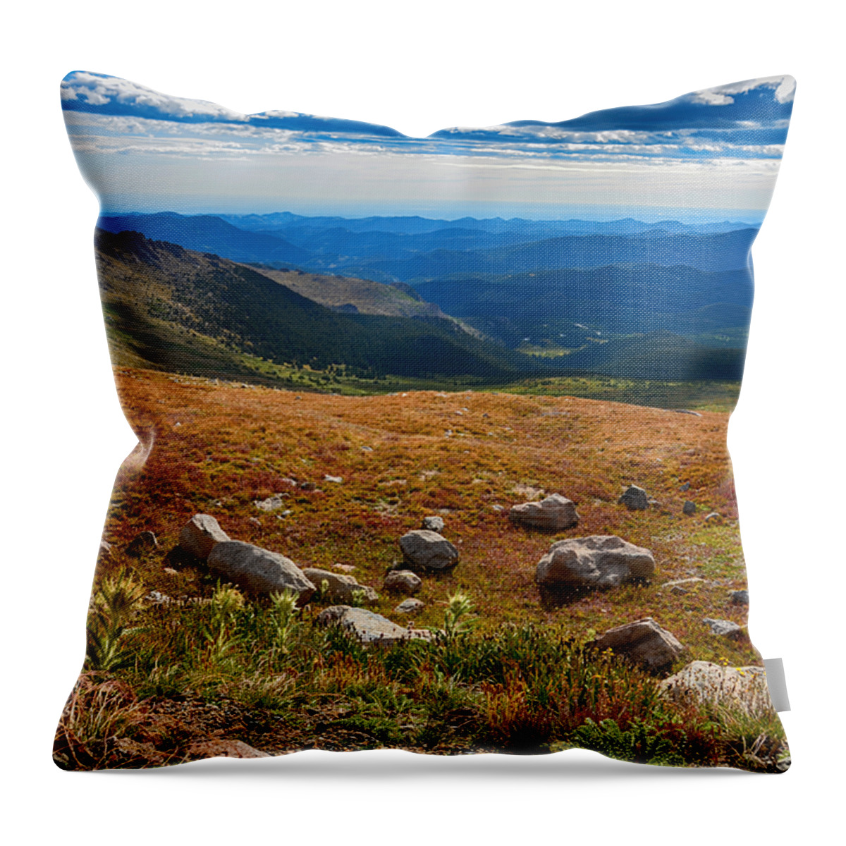 Mount Evans Throw Pillow featuring the mixed media Mount Evans Tundra by Angelina Tamez