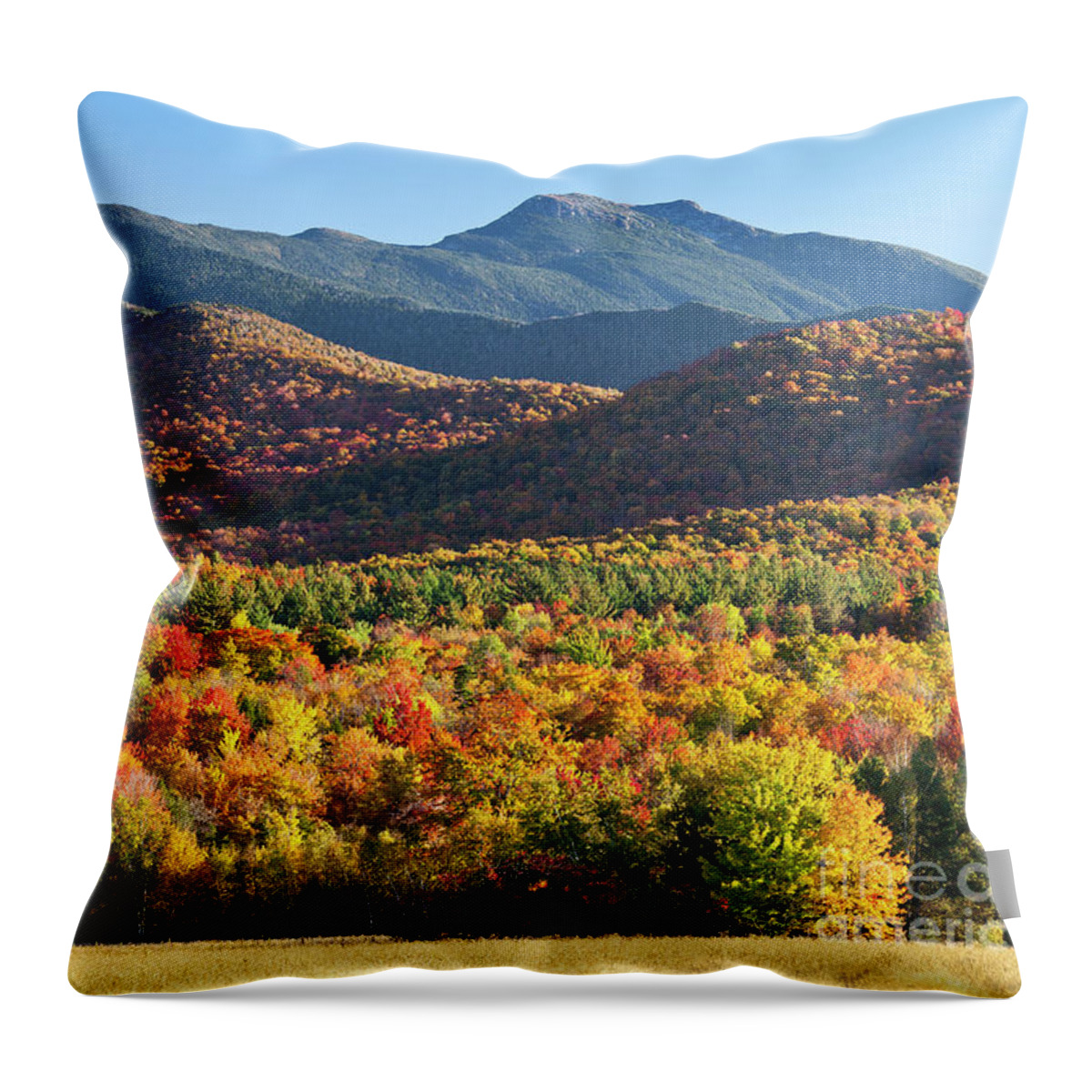 Fall Throw Pillow featuring the photograph Mount Mansfield Fall by Alan L Graham