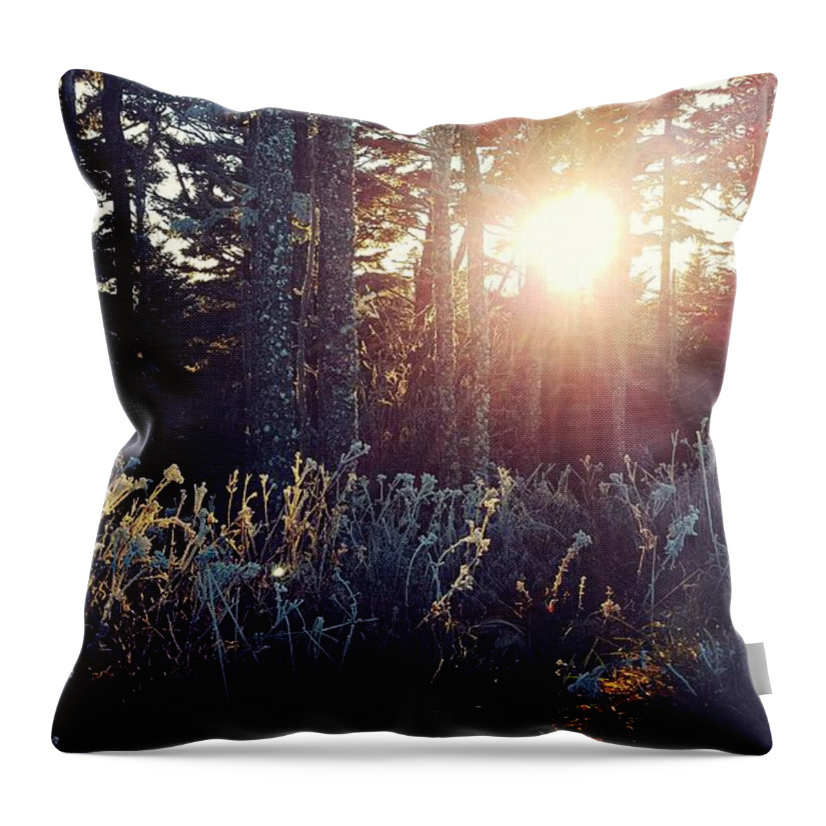 Mount Mitchell Throw Pillow featuring the photograph Mount Mitchell Frost by William Slider