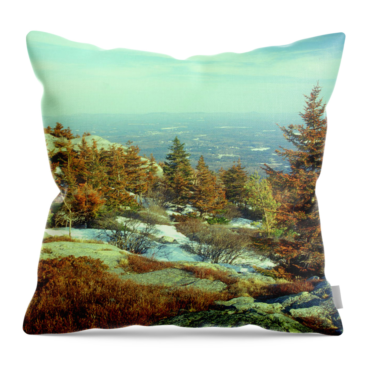 New Hampshire Throw Pillow featuring the photograph Mount Monadnock Spruce Injury by John Burk