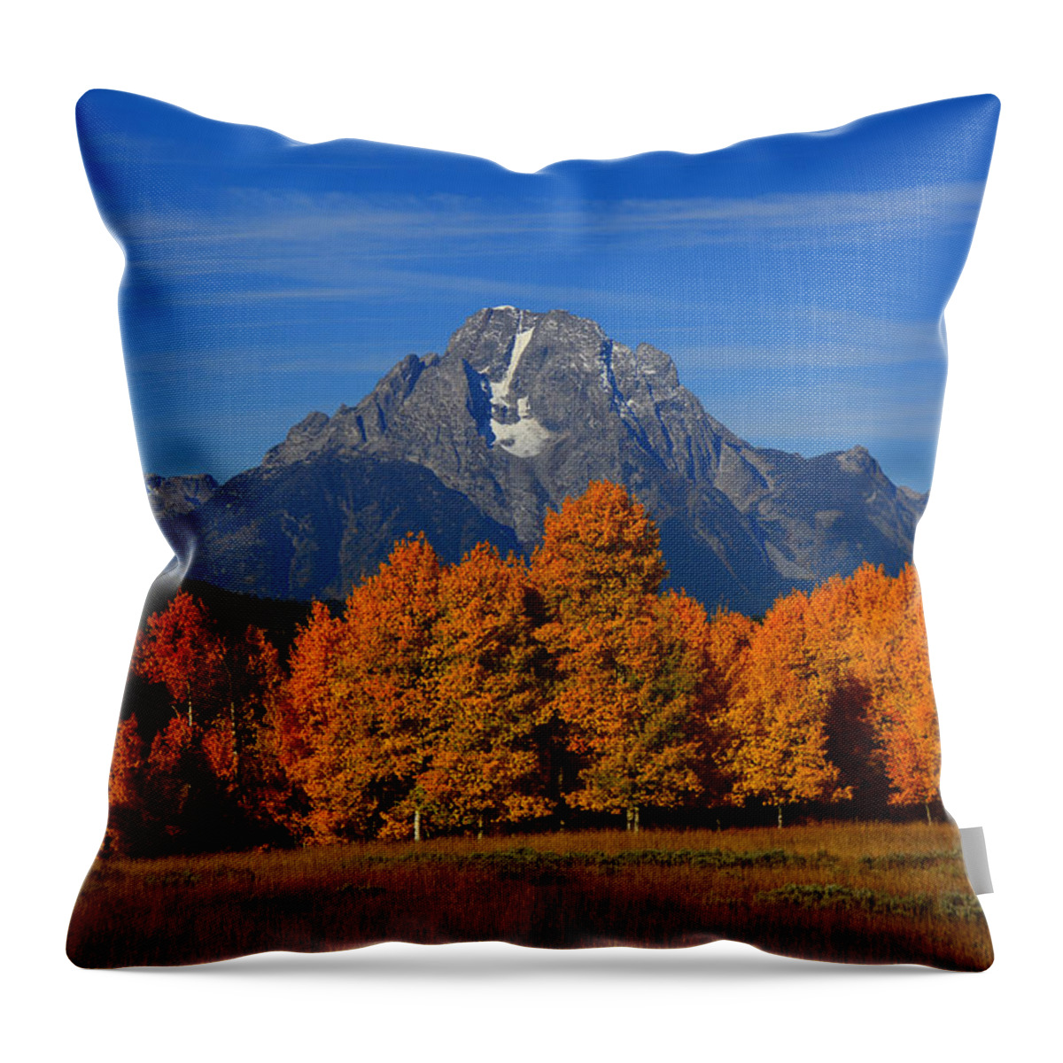 Mount Moran And Aspens Throw Pillow featuring the photograph Mount Moran and Aspens by Raymond Salani III