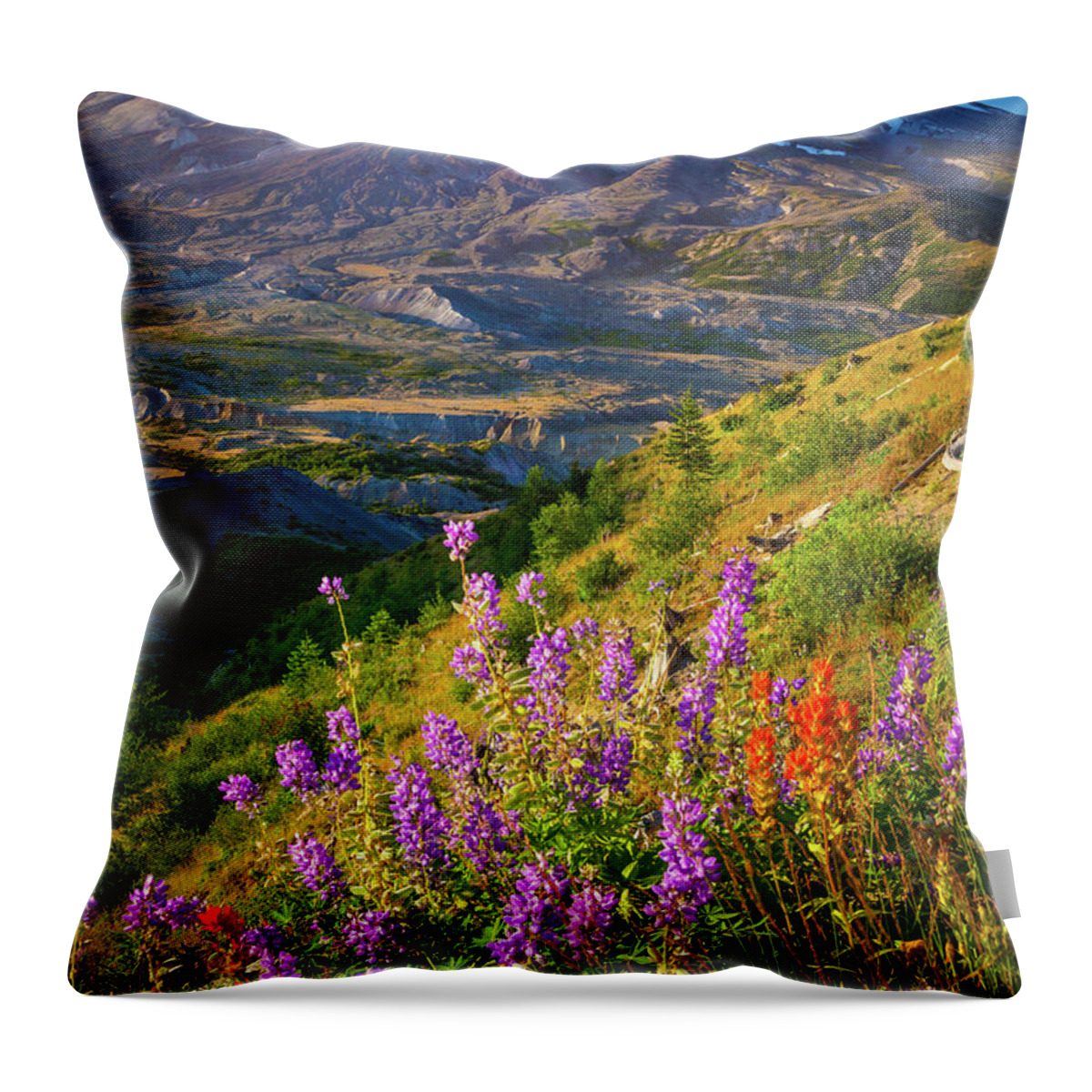 America Throw Pillow featuring the photograph Mount Saint Helens Caldera by Inge Johnsson