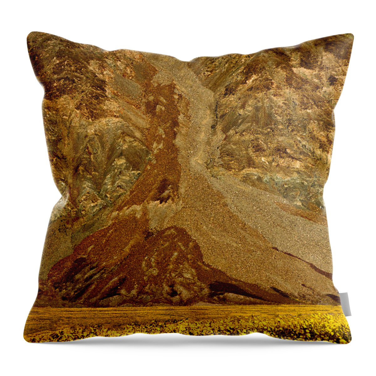 California Throw Pillow featuring the photograph Mountain and Wildflowers - Death Valley by Stuart Litoff