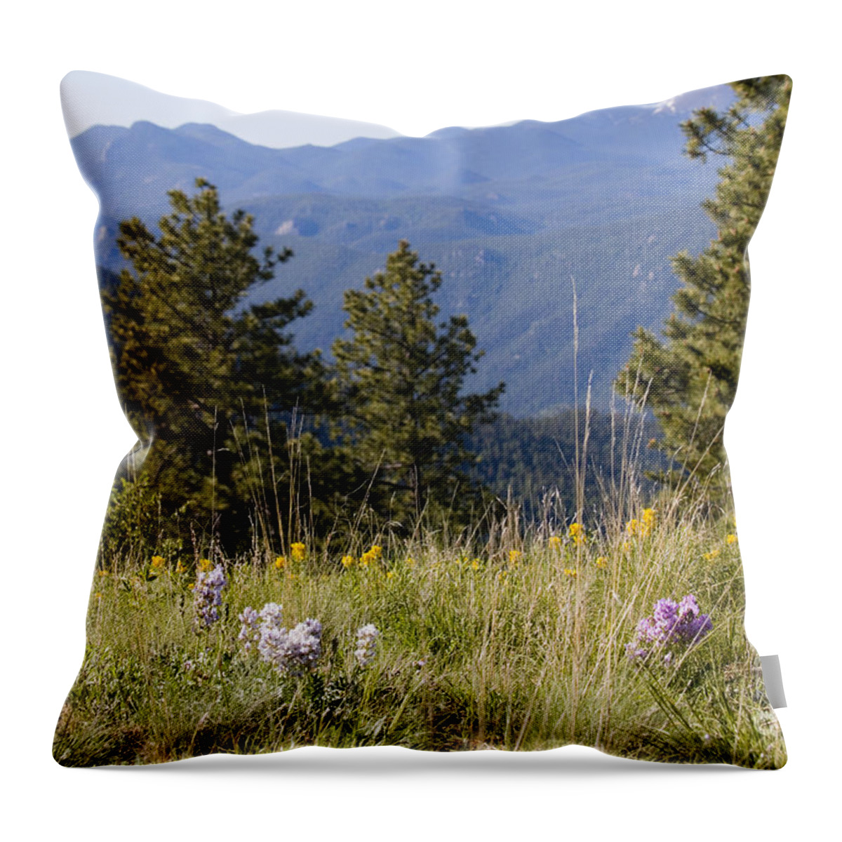 Colorful Throw Pillow featuring the photograph Mountain Bluebell and Wildflowers in Ute Pass by Steven Krull