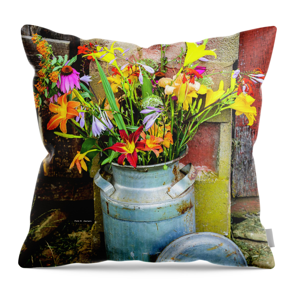 Bouquet Throw Pillow featuring the photograph Mountain Bouquet by Dale R Carlson