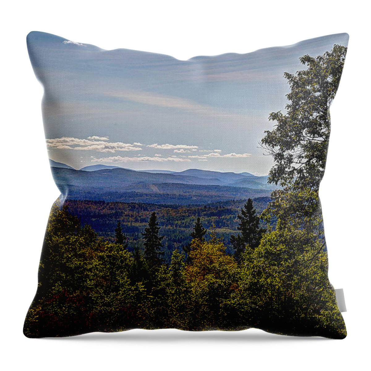 Trees Throw Pillow featuring the photograph Mountain Edge by Deborah Klubertanz