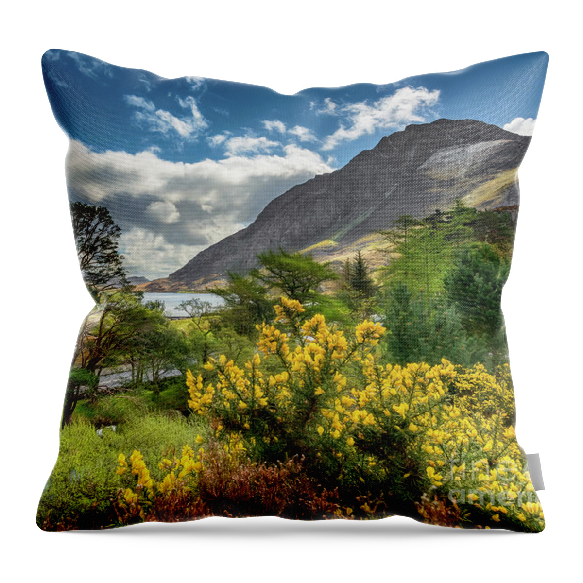 Tryfan Mountain Throw Pillow featuring the photograph Mountain Flora by Adrian Evans