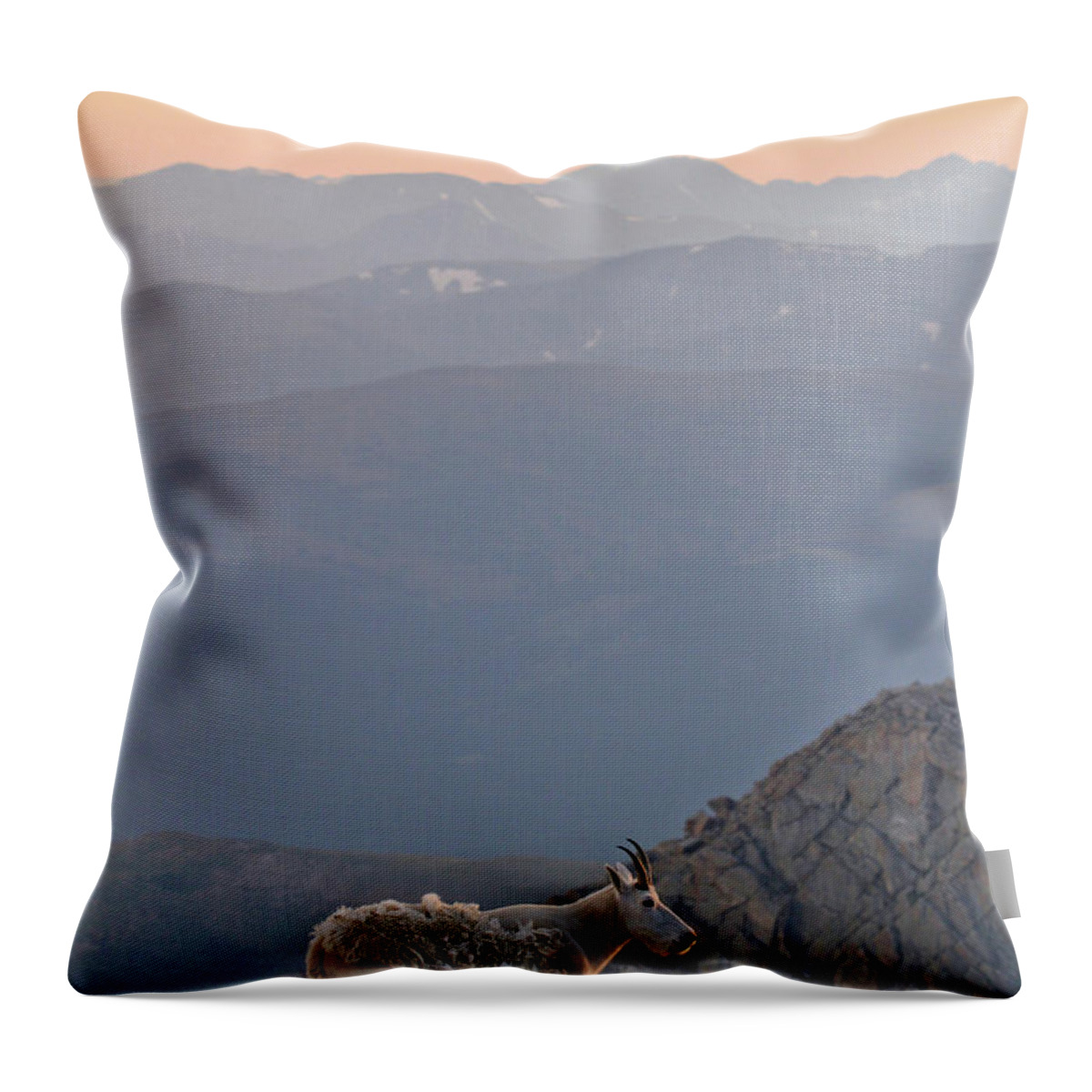 Mountain Goat Throw Pillow featuring the photograph Mountain Goat Sunset by Scott Mahon