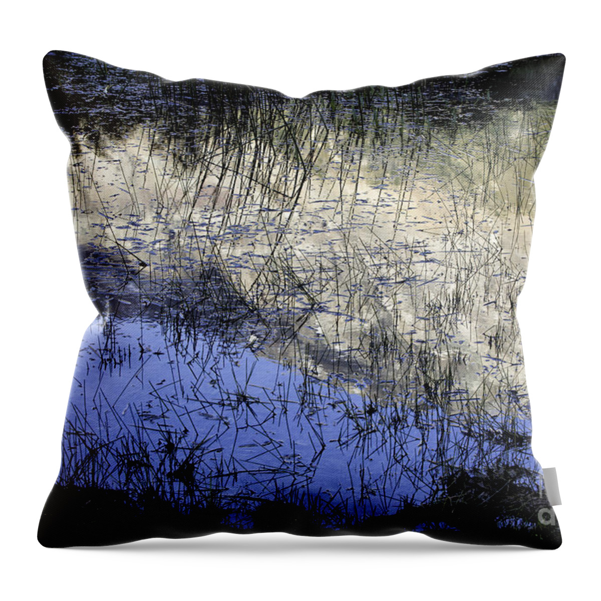 Patagonia Throw Pillow featuring the photograph Mountain In A Pond 1 by Timothy Hacker