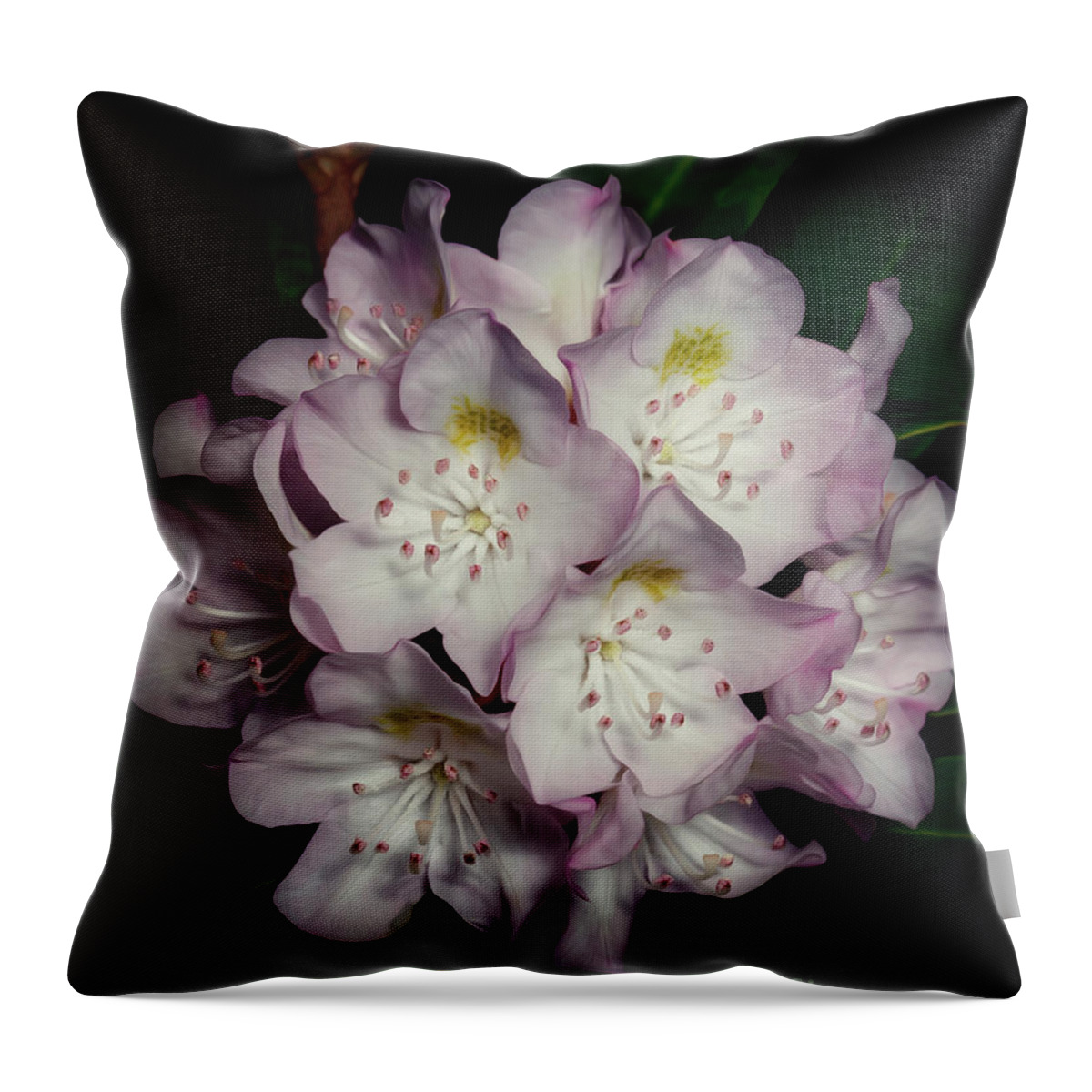 Mountain Laurel Throw Pillow featuring the photograph Mountain Laurel by Tim Wemple