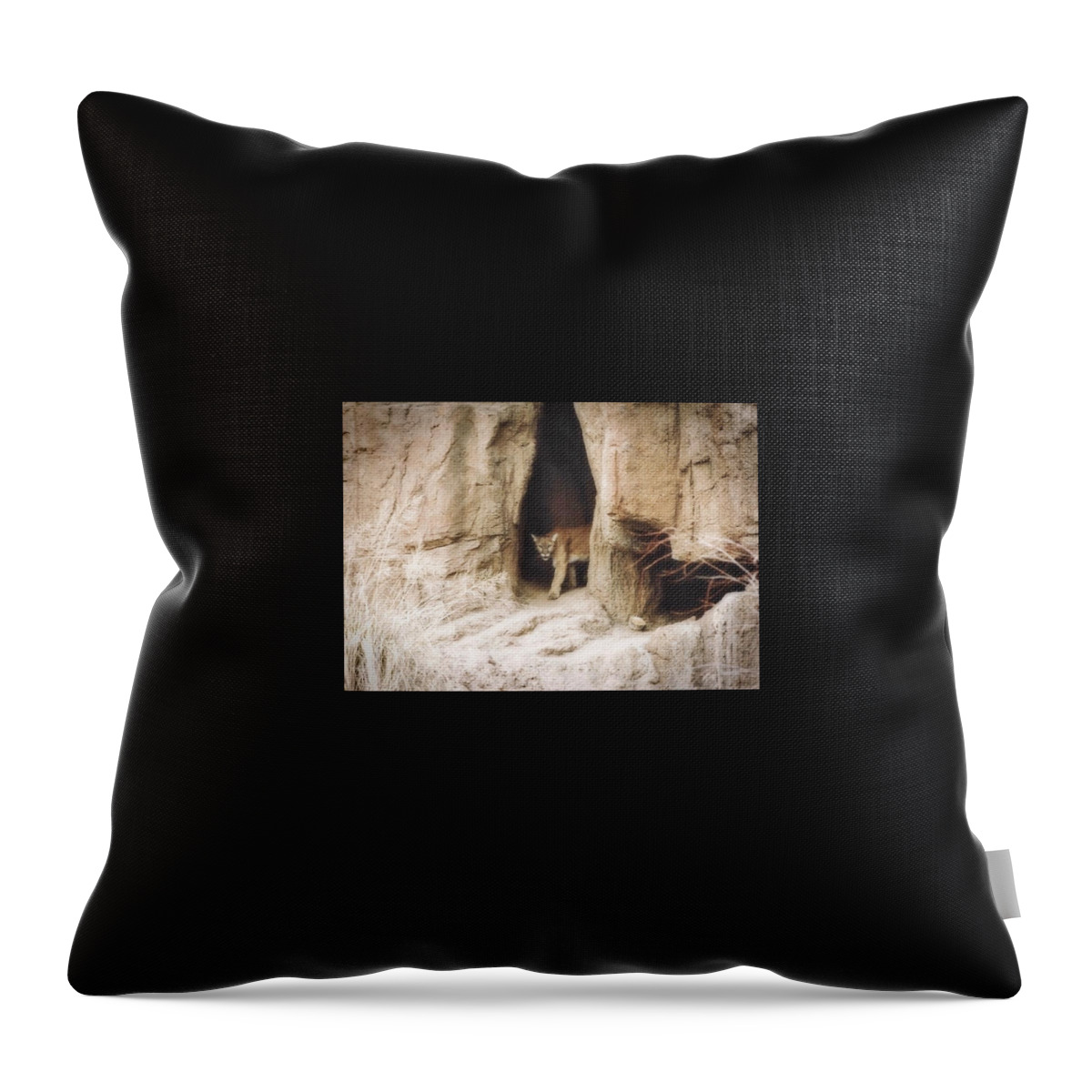 Arizona Throw Pillow featuring the photograph Mountain Lion - Light by Judy Kennedy
