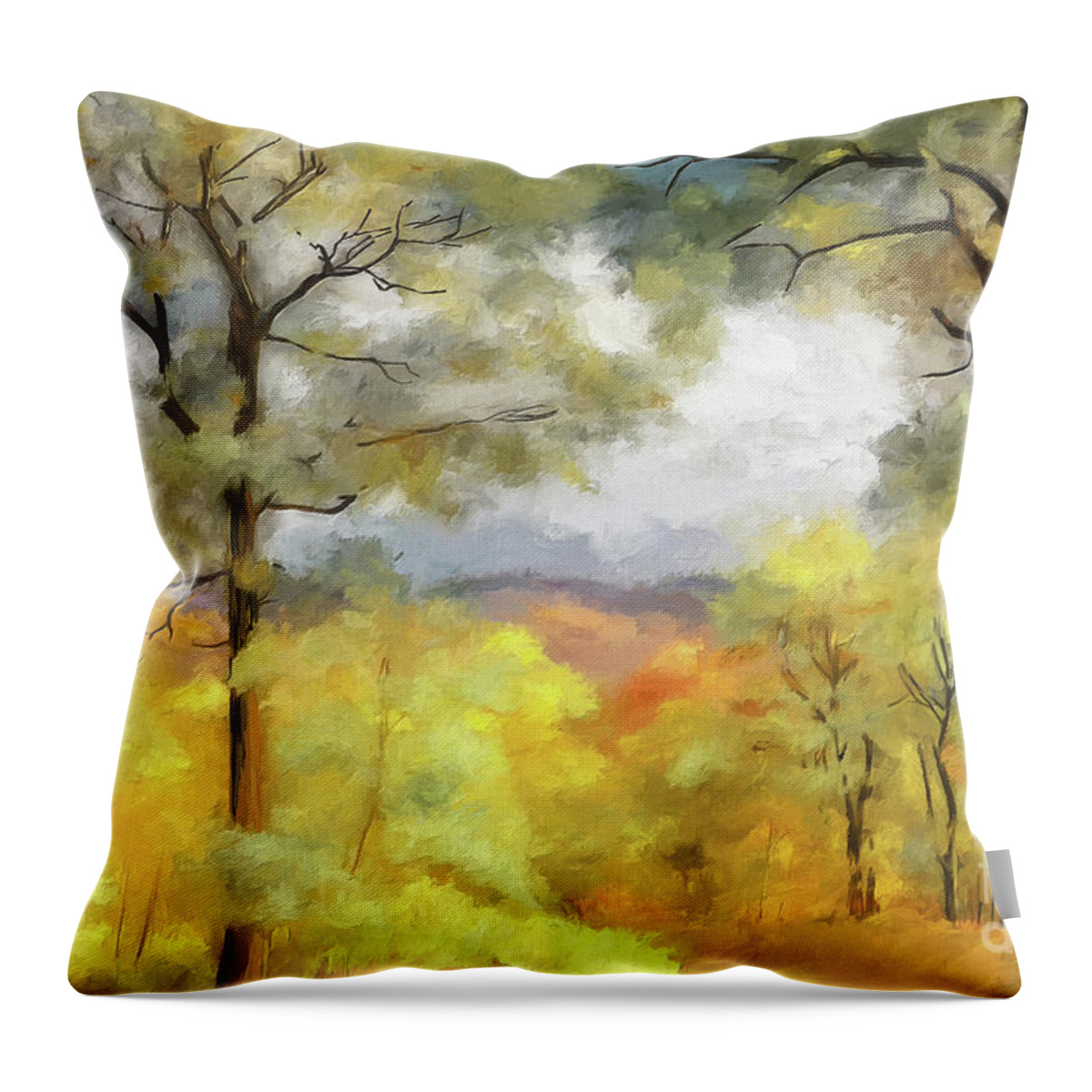 Mountain Throw Pillow featuring the photograph Mountain Morning by Lois Bryan