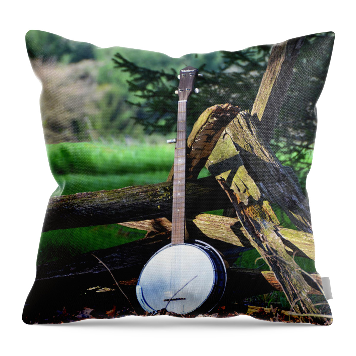 Mountain Throw Pillow featuring the photograph Mountain Music by Bill Cannon