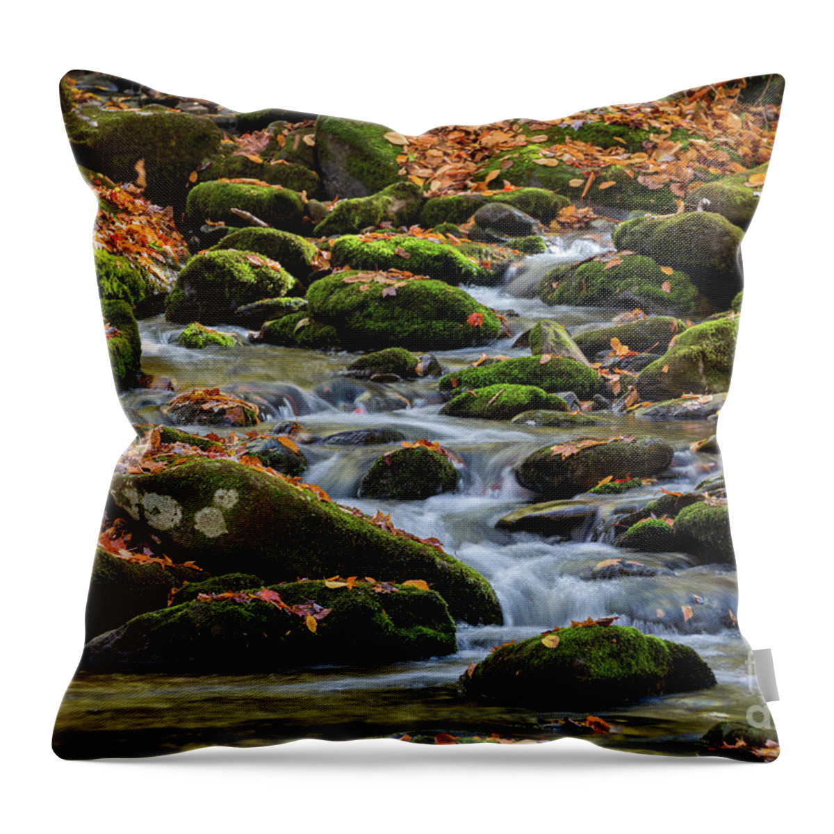 Middle Prong Little River Throw Pillow featuring the photograph Mountain Stream Cascades by Doug Sturgess