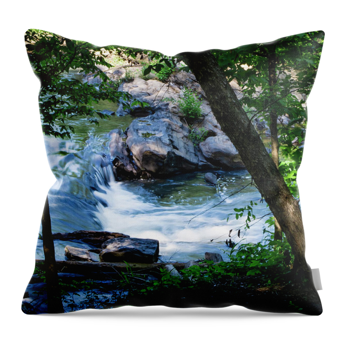 Creek Throw Pillow featuring the photograph Mountain Stream by James L Bartlett