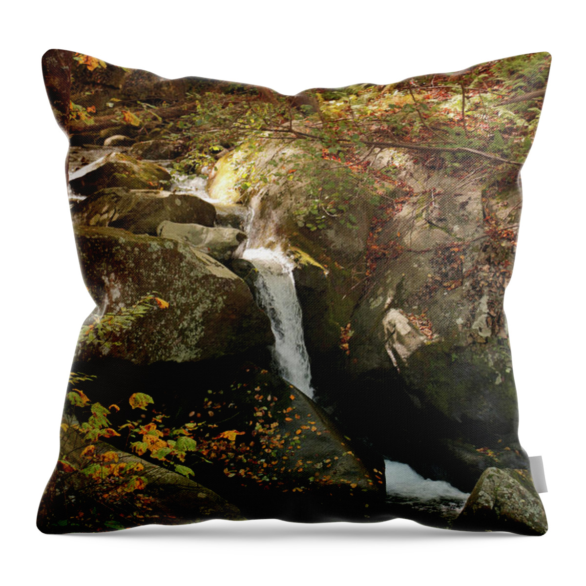 Mountain Throw Pillow featuring the photograph Mountain Stream by Rebecca Davis