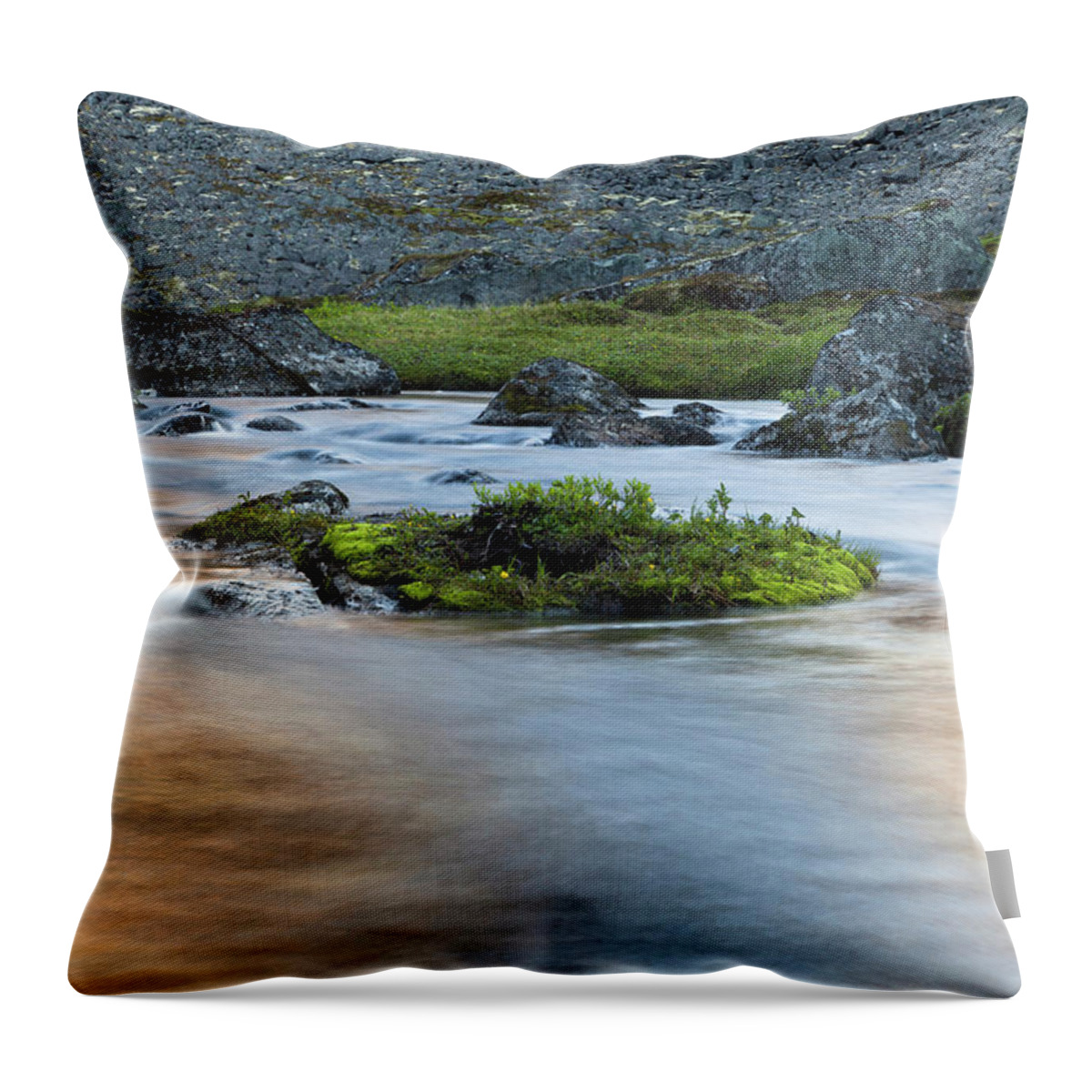 Alaska Throw Pillow featuring the photograph Mountain Stream by Scott Slone
