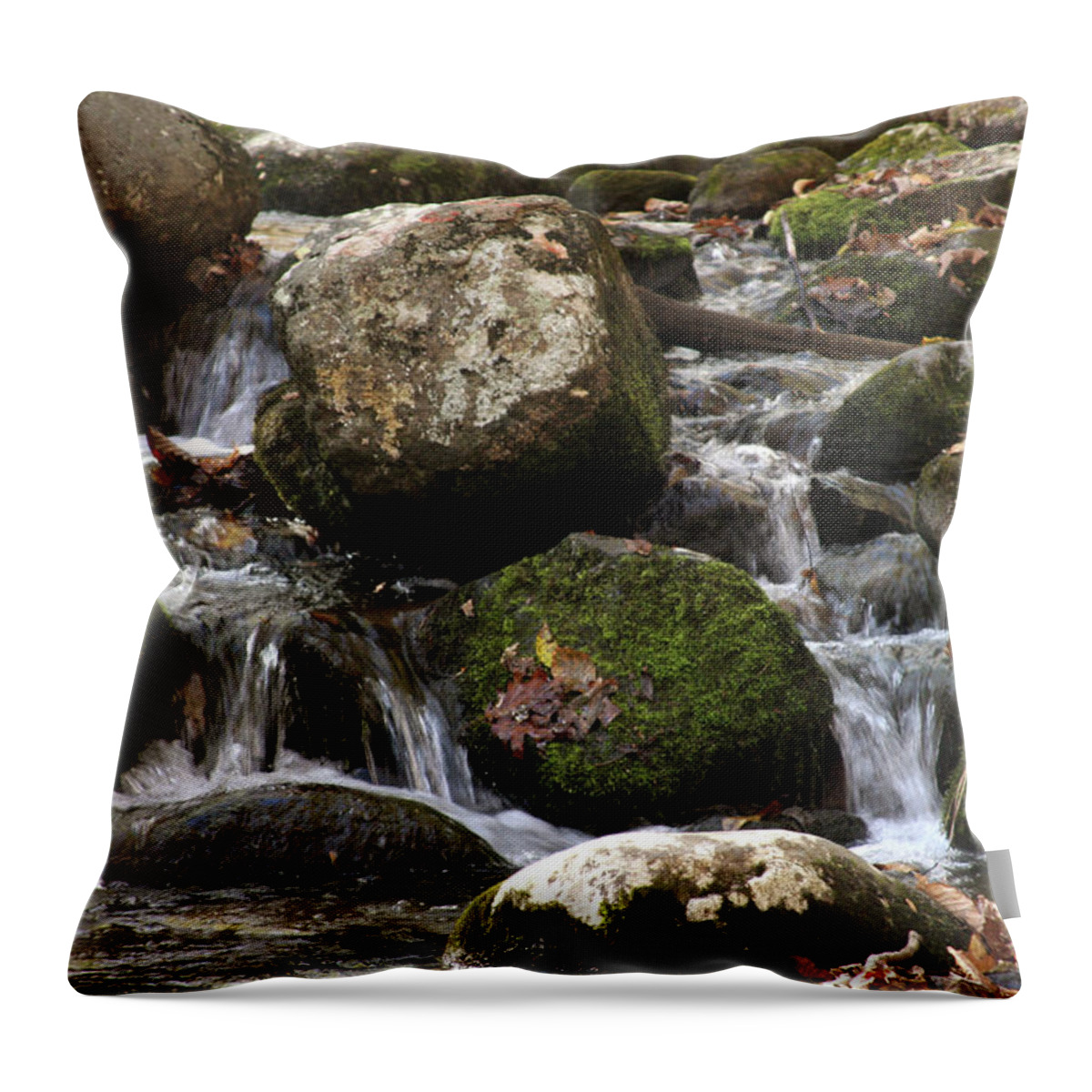 Stream Throw Pillow featuring the photograph Mountain stream through rocks by Emanuel Tanjala