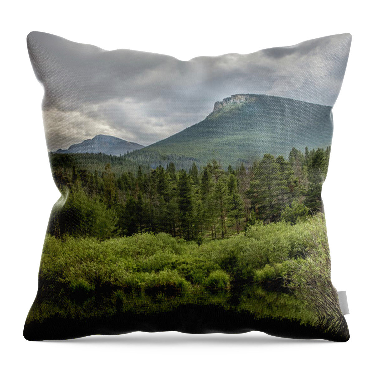  Rocky Mountain National Park Throw Pillow featuring the photograph Mountain View From The Marsh by James Woody