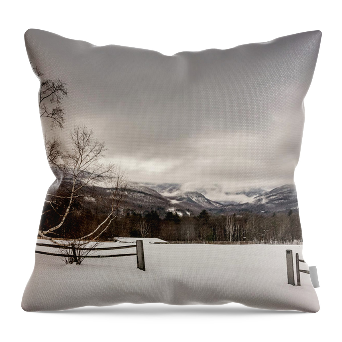Nature Throw Pillow featuring the photograph Mountains in Winter by Robert Mitchell