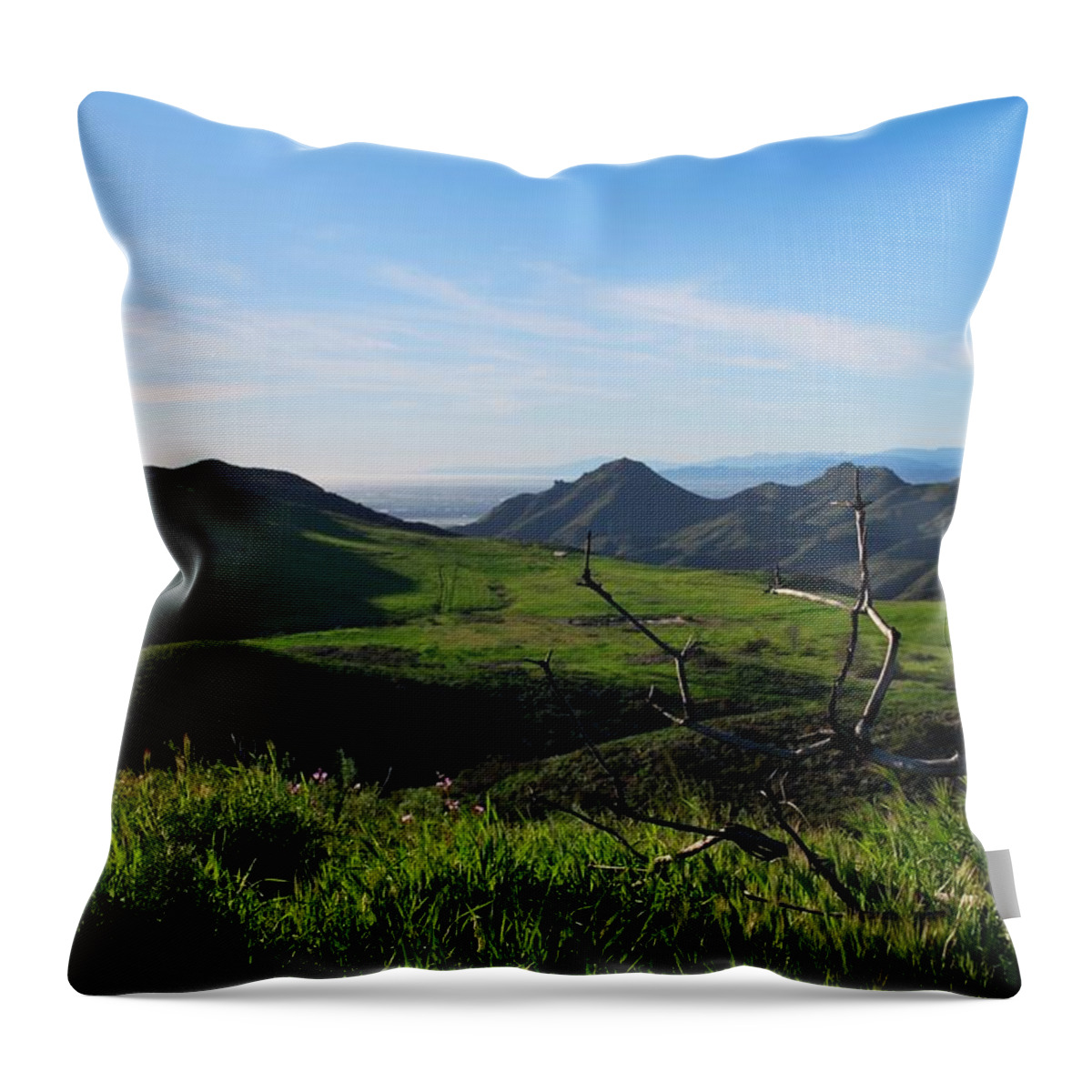 Tree Throw Pillow featuring the photograph Mountains to Valley View by Matt Quest