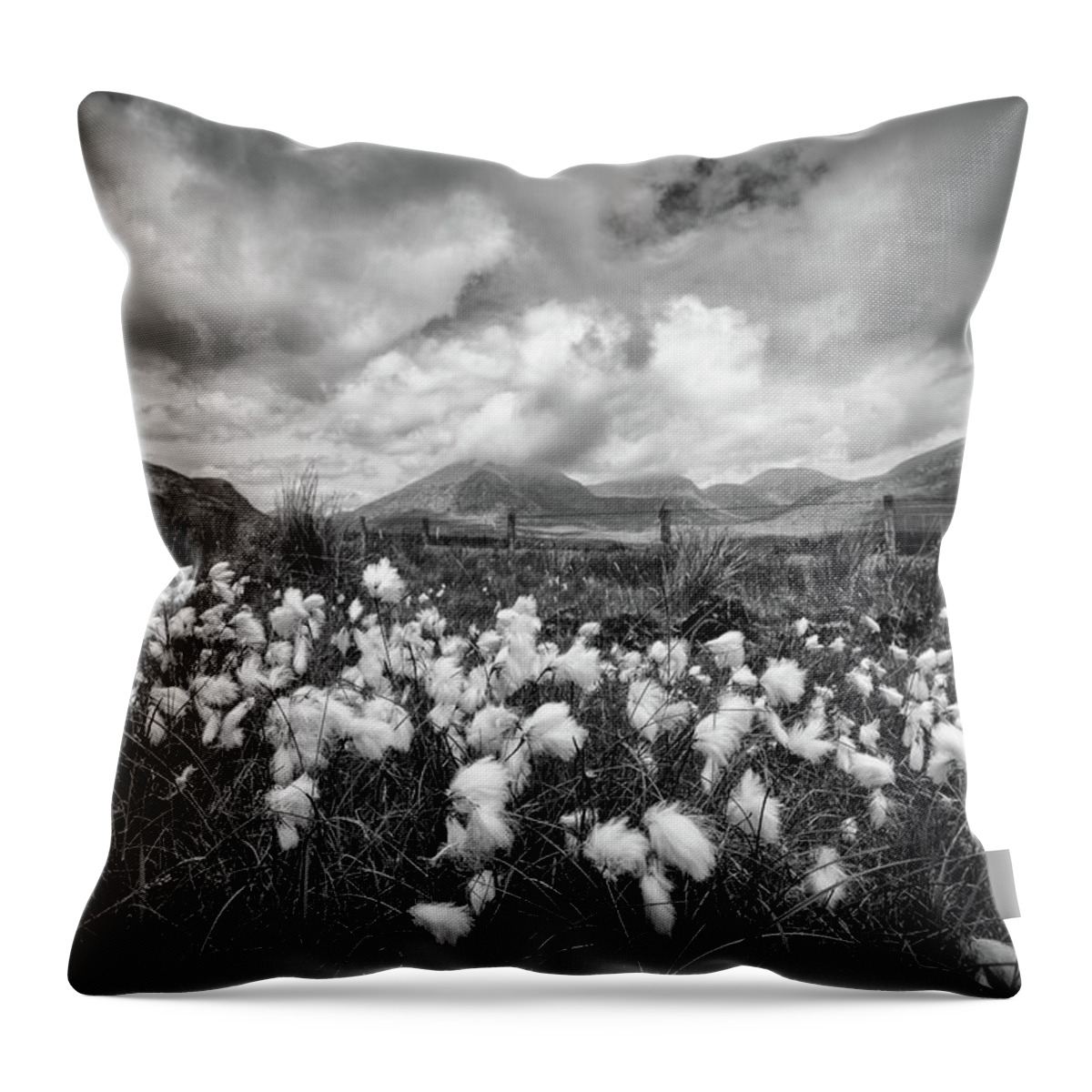 Grass Throw Pillow featuring the photograph Mournes Bog Cotton by Nigel R Bell
