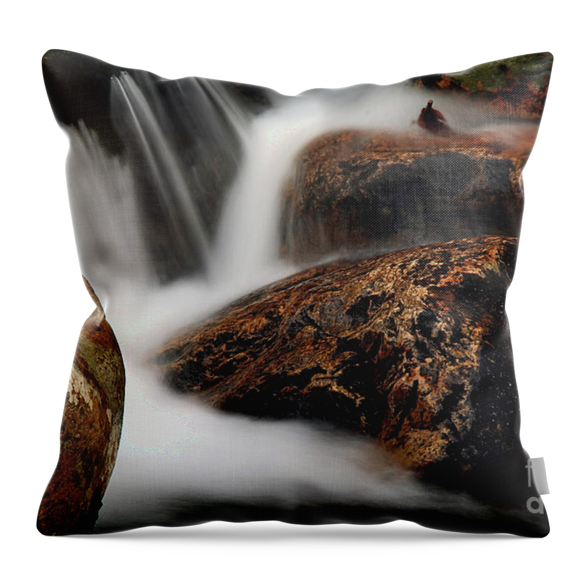 Moving Along Throw Pillow featuring the photograph Moving Along by Darren Fisher