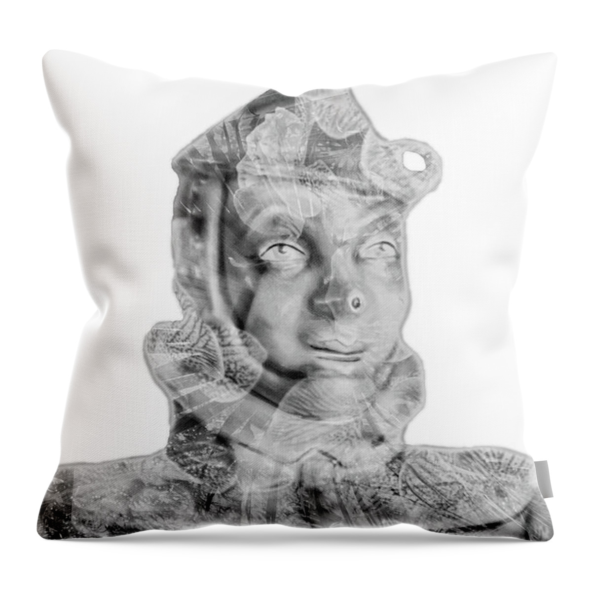 Whimsical Throw Pillow featuring the photograph Mr Tin by Pamela Williams