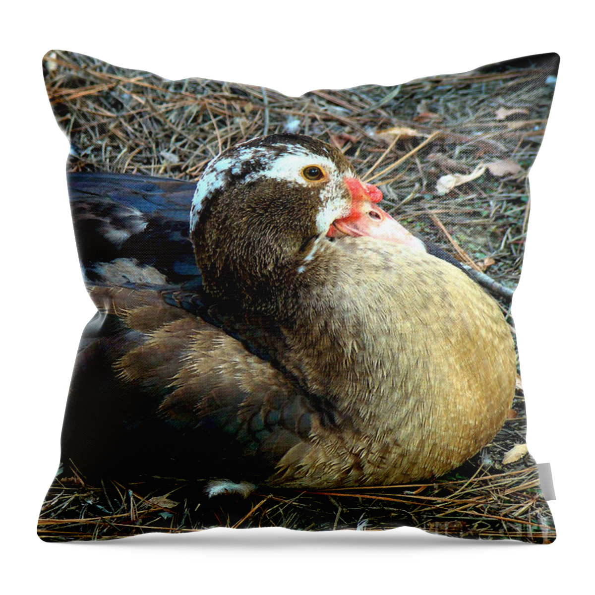 Bird Throw Pillow featuring the photograph Mrs Muscovy by Sue Melvin