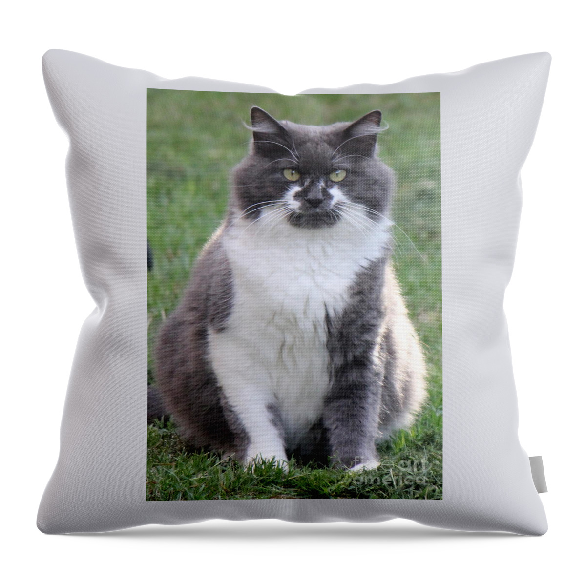 Cat Throw Pillow featuring the photograph Ms. Mustache by Sheri Simmons