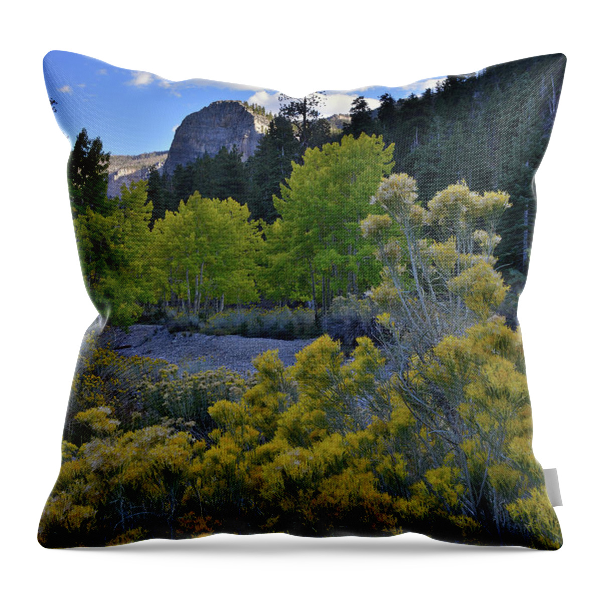 Nevada Throw Pillow featuring the photograph Mt. Charleston Basin near Las Vegas by Ray Mathis