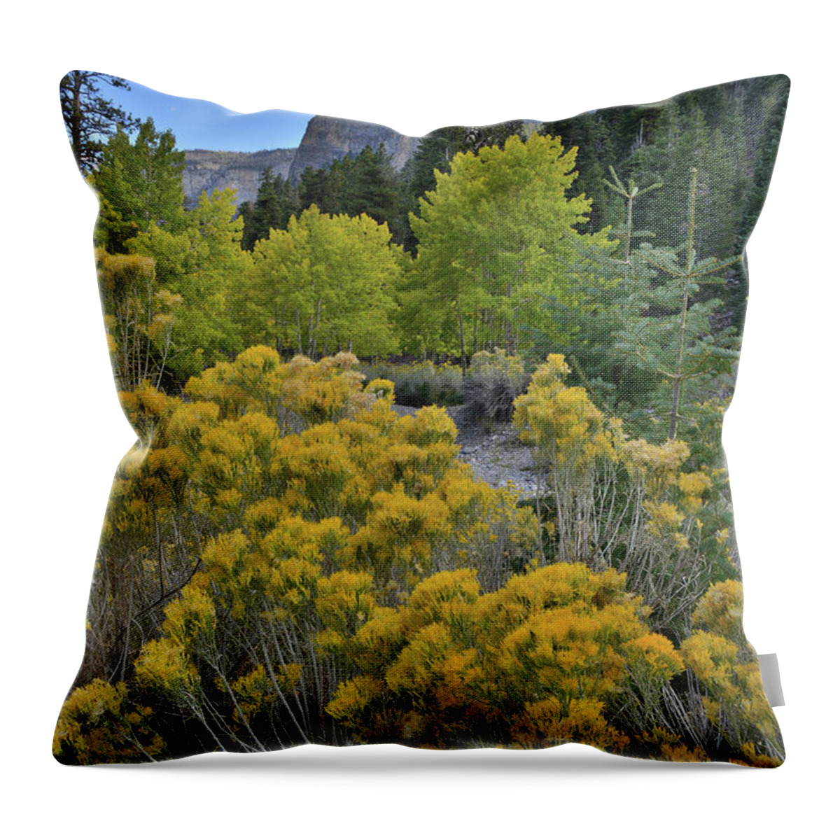 Humboldt-toiyabe National Forest Throw Pillow featuring the photograph Mt. Charleston - Humboldt National Forest by Ray Mathis