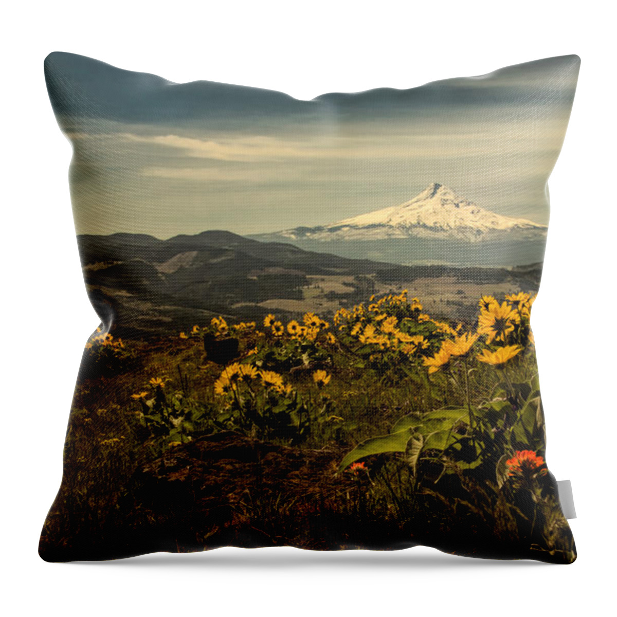 Hood River Throw Pillow featuring the photograph Mt. Hood and Wildflowers by Don Schwartz