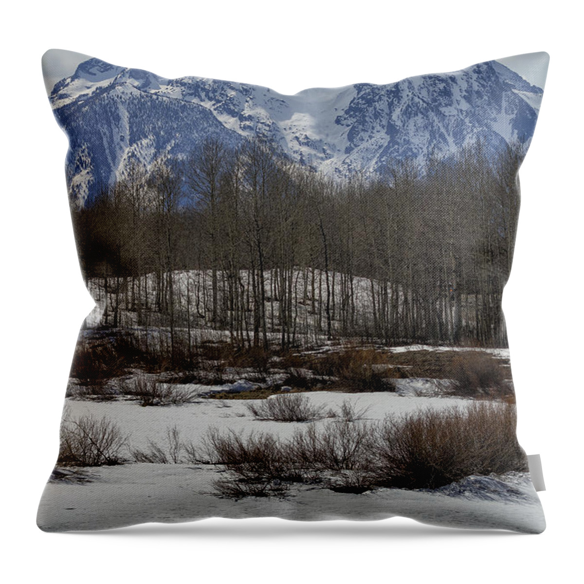 Mt Moran Throw Pillow featuring the photograph Mt Moran from Cattleman's Bridge Site by Belinda Greb
