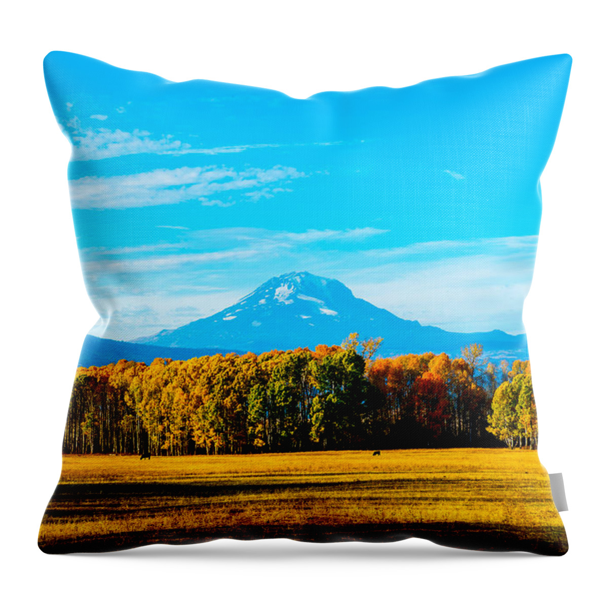Landscape Throw Pillow featuring the photograph Mt.Adams in fall by Hisao Mogi