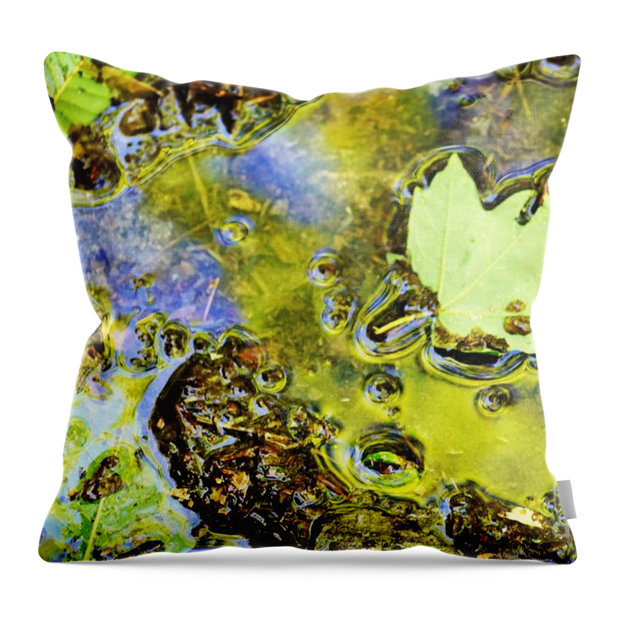 Landscape Throw Pillow featuring the photograph Mud puddle by Merle Grenz