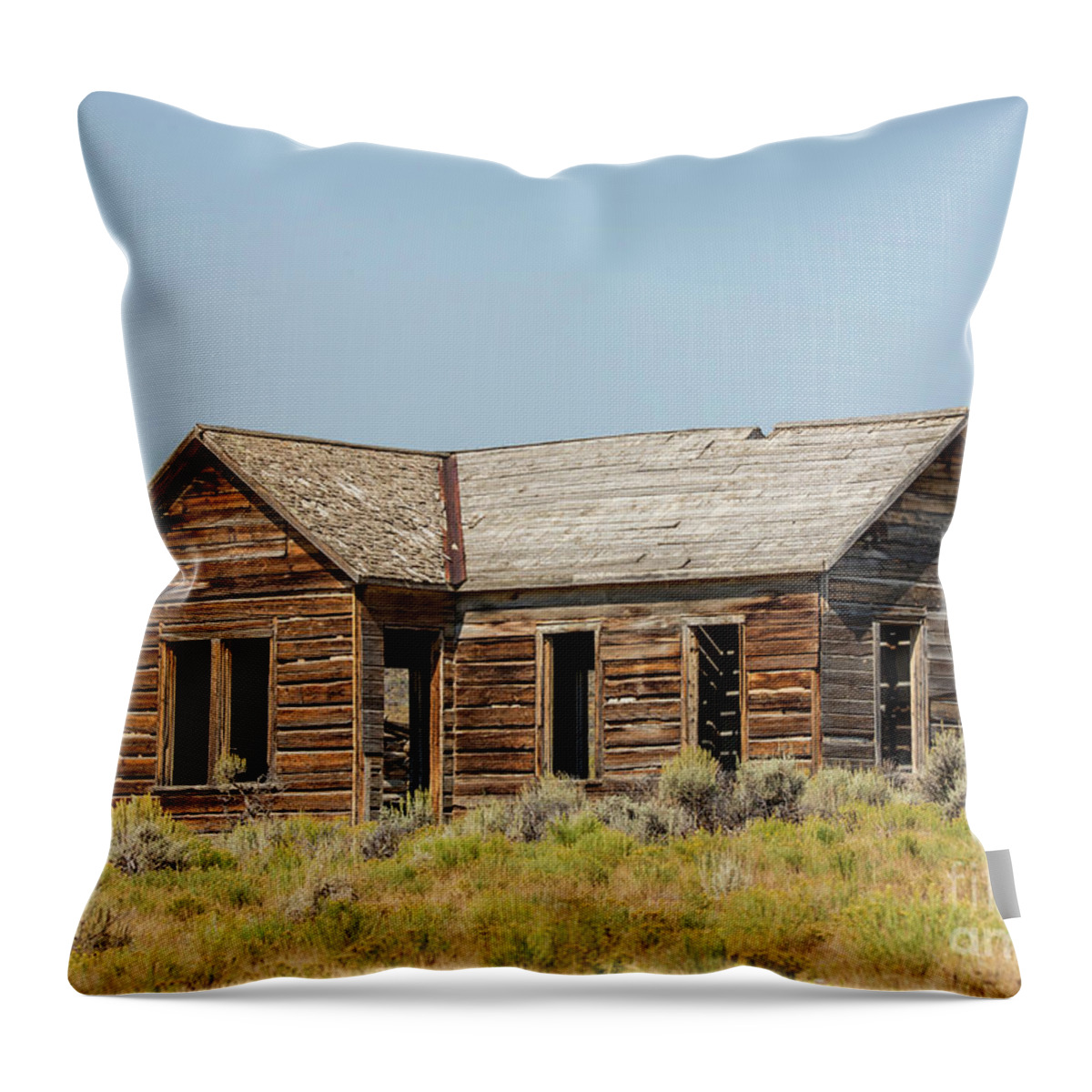 Buildings Throw Pillow featuring the photograph Muddy Creek House by Carolyn Fox